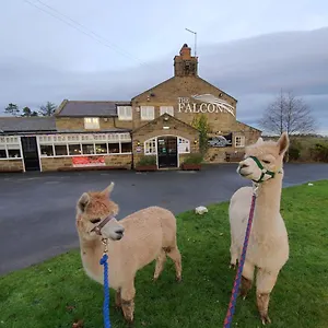 *** Hotel The Falcon United Kingdom